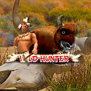 В казино Адмирал в эмулятор игрового автомата Wild Hunter азартный игрок может играть в версии демо онлайн бесплатно