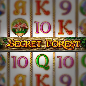 В Казино-Х в симулятор Secret Forest азартный игрок может сыграть в демо-варианте бесплатно без регистрации