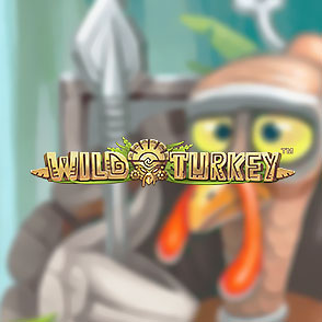 Эмулятор слота Wild Turkey - доступны режимы игры онлайн бесплатно, без скачивания и в режиме денежной игры
